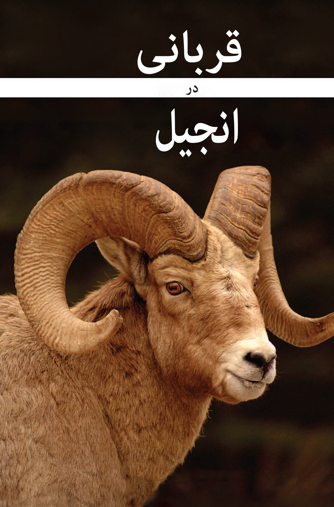 Adha in the Injeel (Ebook)