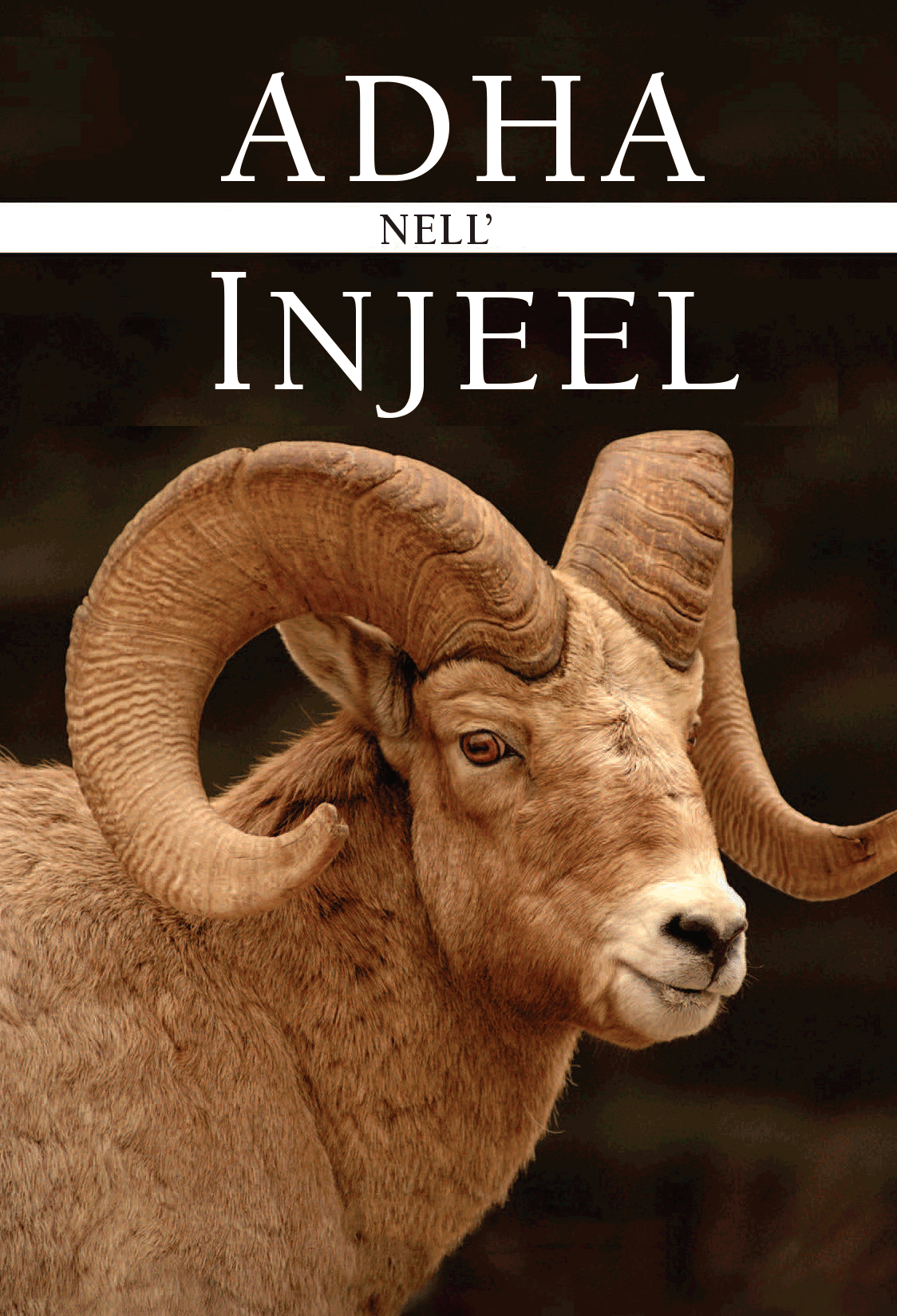 Adha in the Injeel (Ebook)