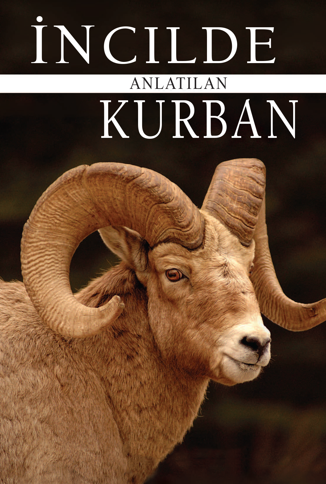 Adha in the Injeel (Ebook)