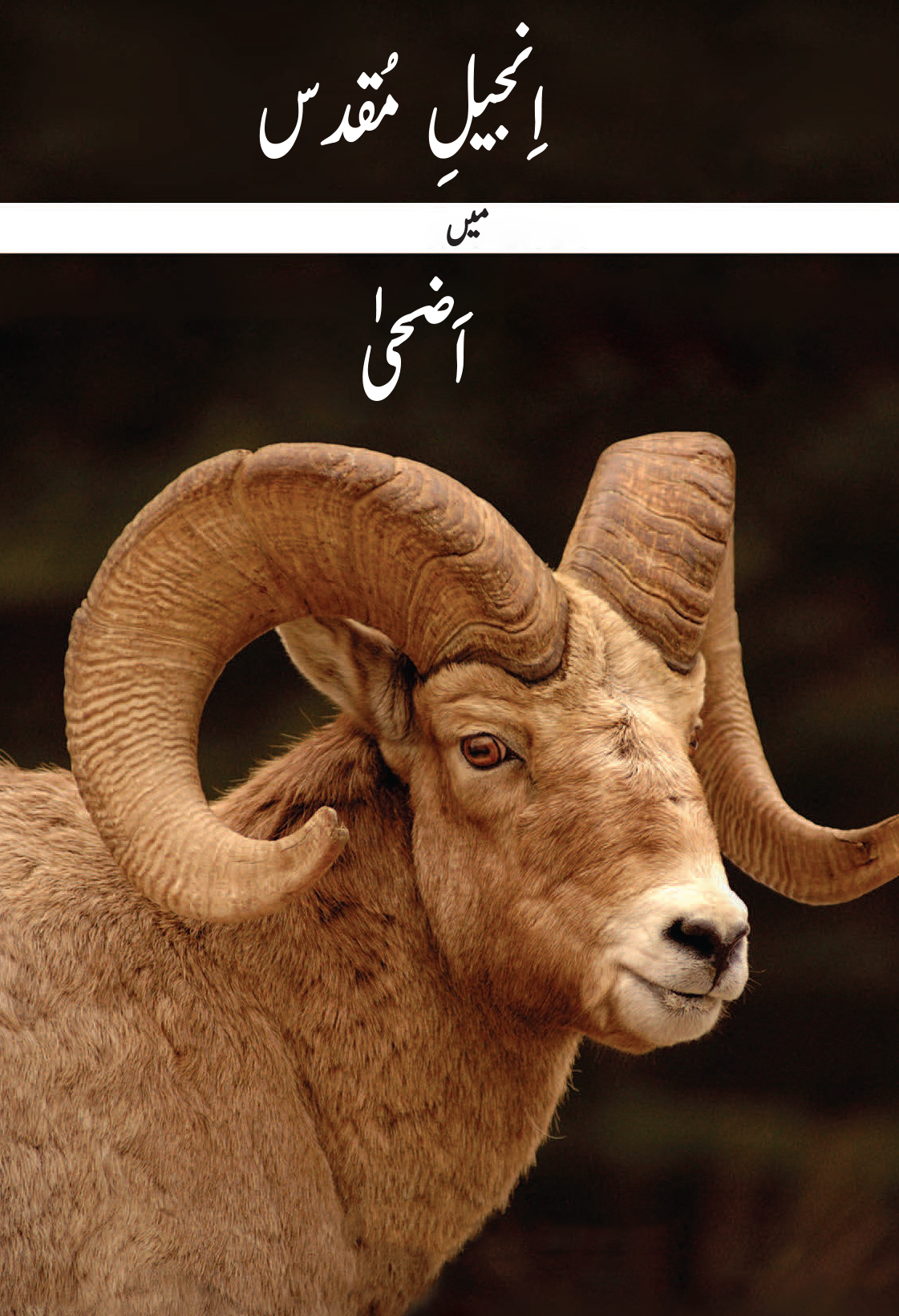 Adha in the Injeel (Ebook)