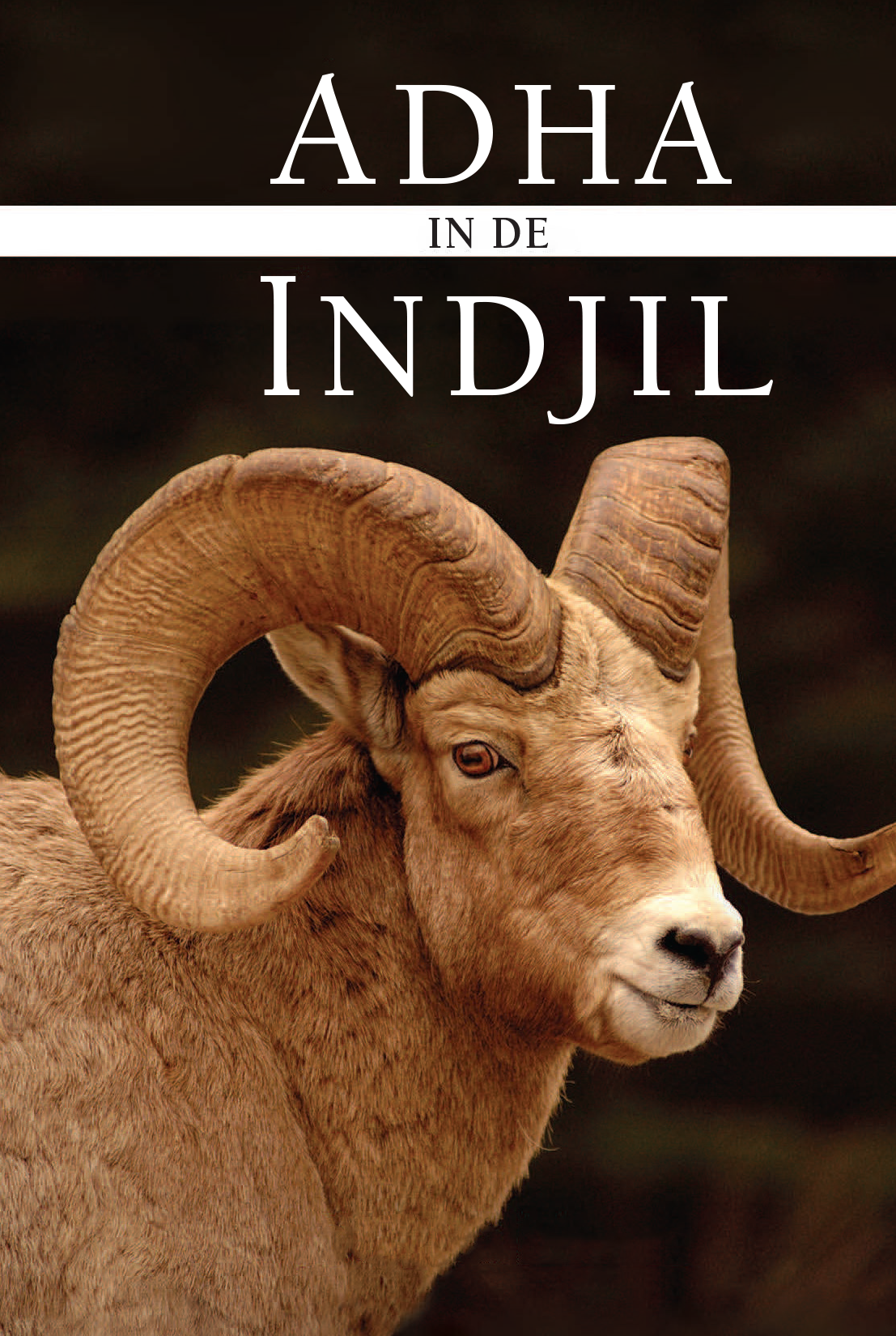 Adha in the Injeel (Ebook)