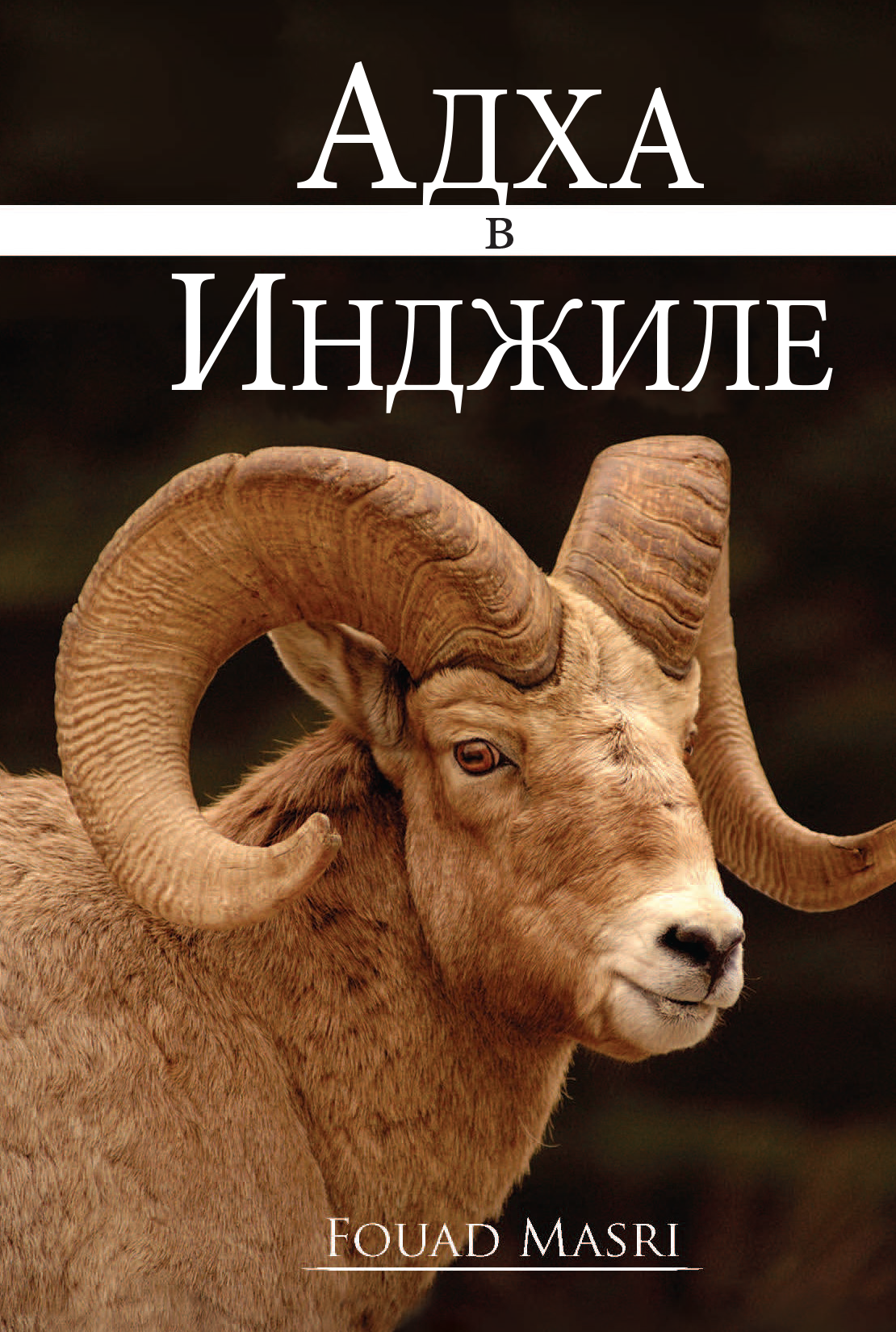 Adha in the Injeel (Ebook)